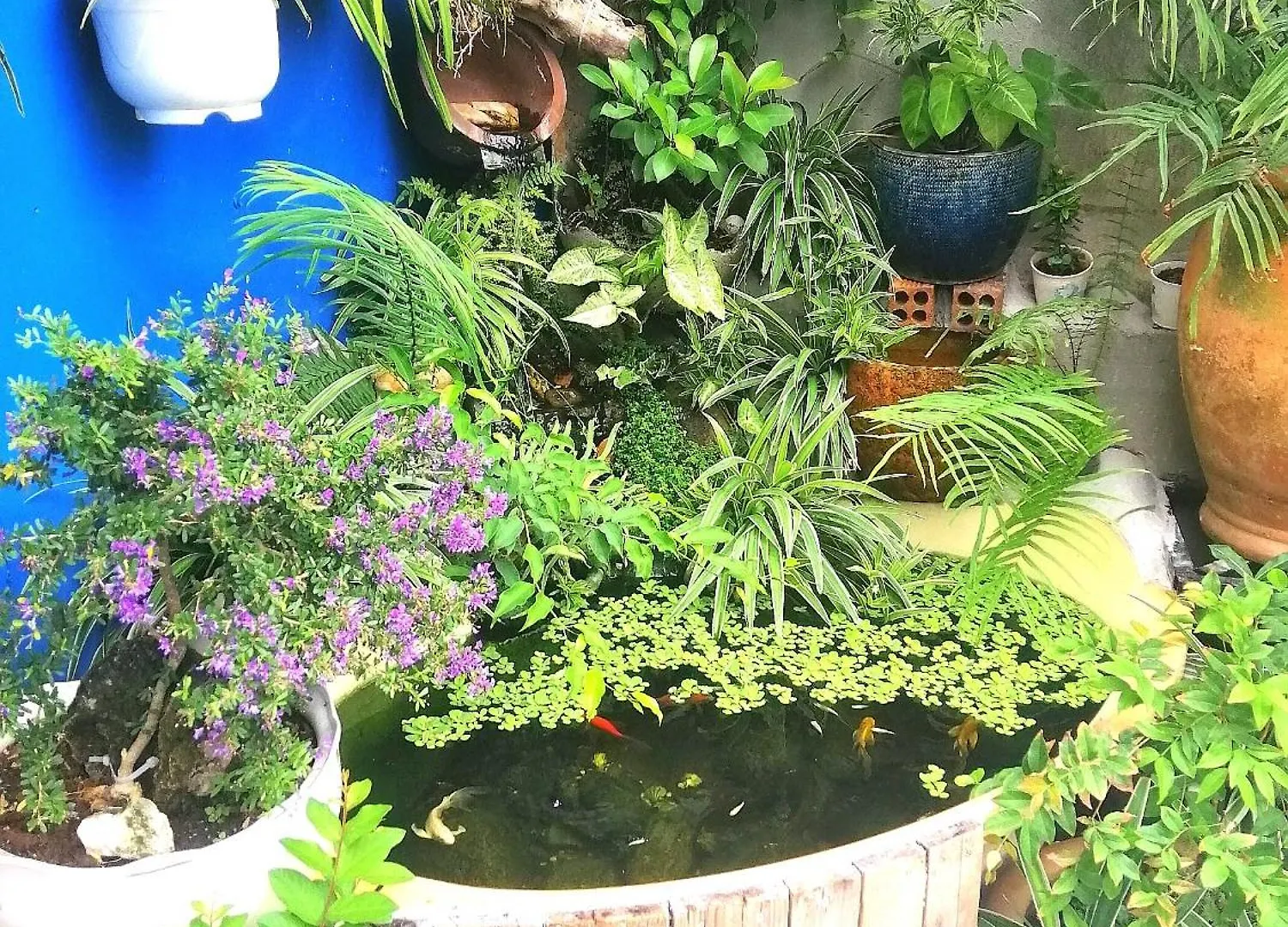 Nha Nguyen Can Dung Vinh Homestay Vung Tau Apartment