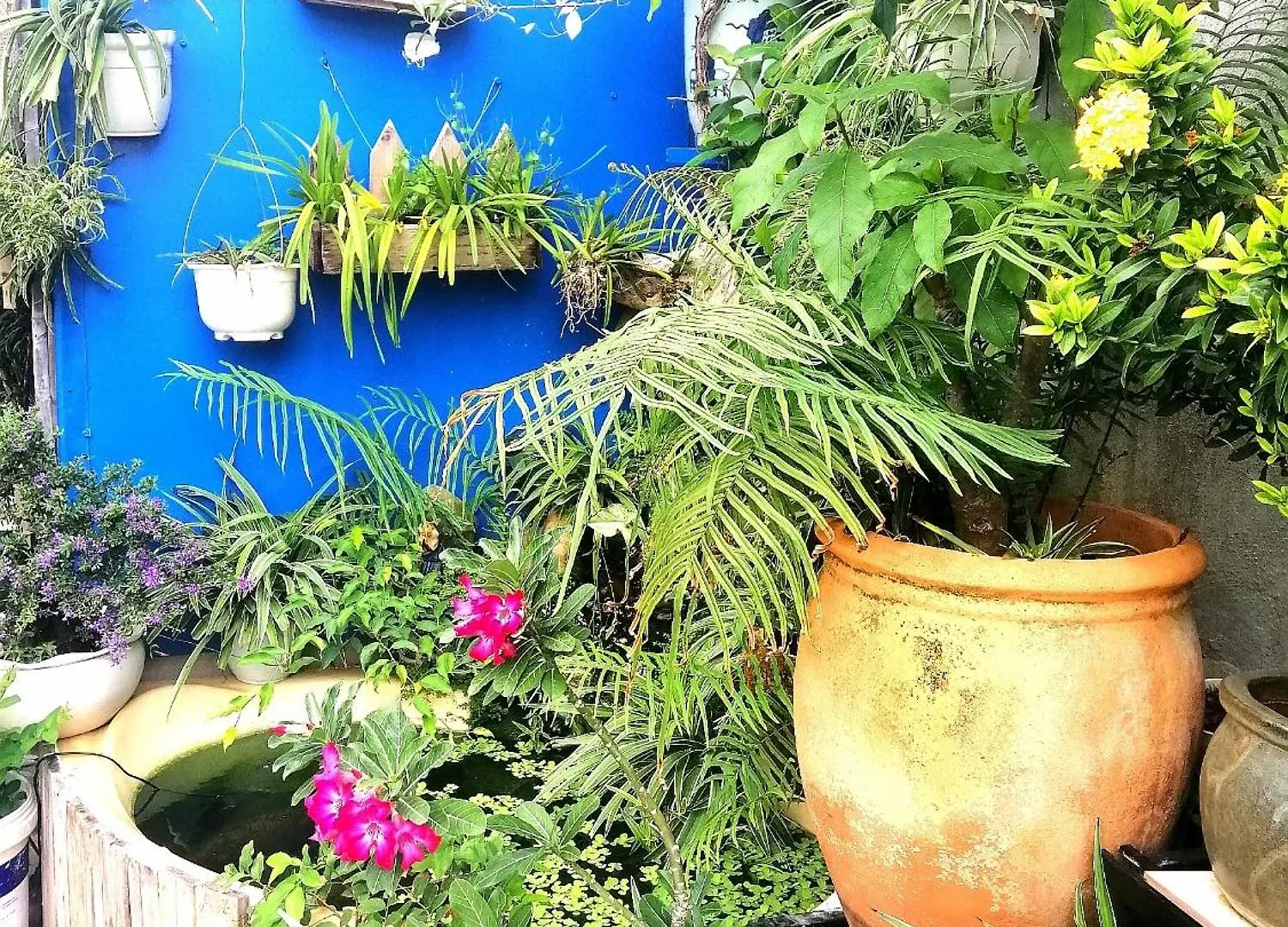 Apartment Nha Nguyen Can Dung Vinh Homestay Vung Tau Vietnam