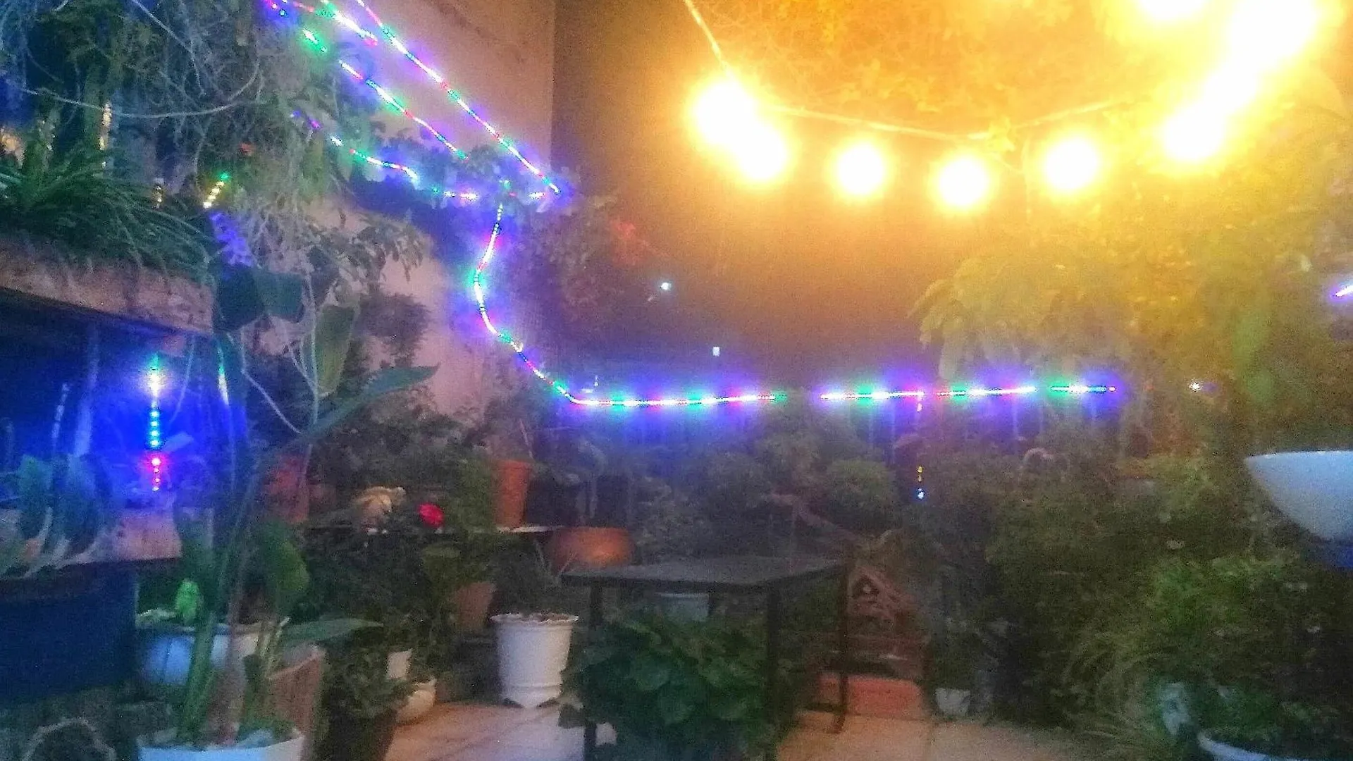 Nha Nguyen Can Dung Vinh Homestay Vung Tau Vietnam
